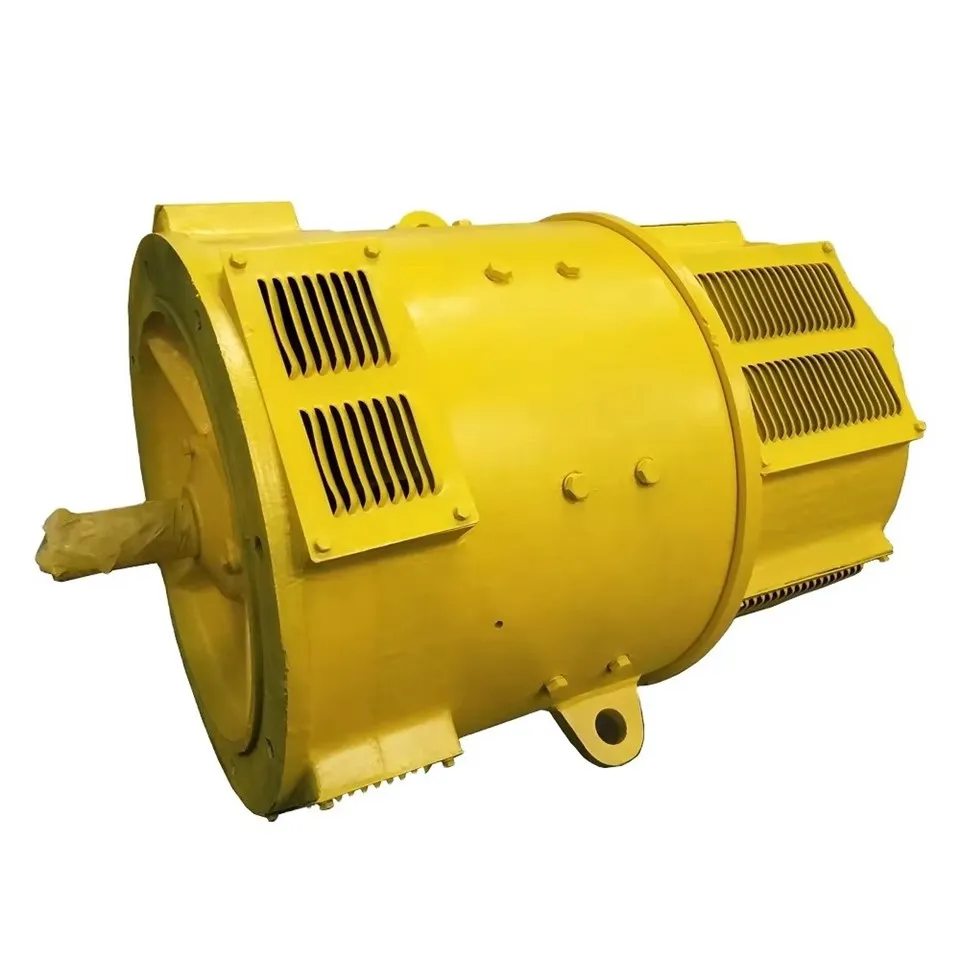 কাস্টমাইজড ডিসি মোটর