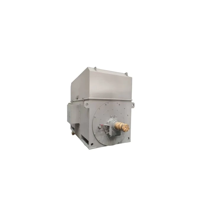 YRKS 7109-4CT থ্রি ফেজ স্লিপ রিং ইন্ডাকশন মোটর 3550kW
